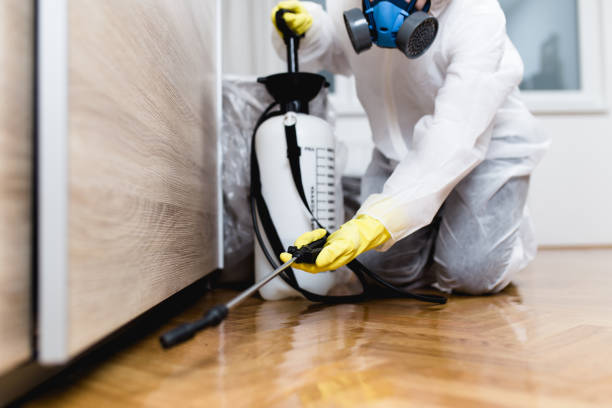 Best Exterminator Services  in Clayton, NM