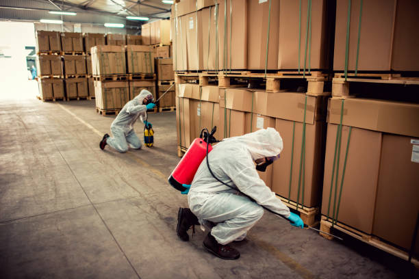 Best Flea Control Services  in Clayton, NM