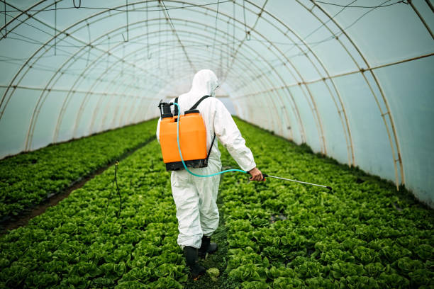 Best Pest Removal Services  in Clayton, NM