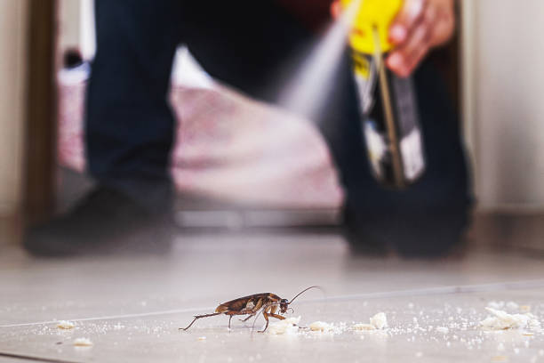 Pest Control Cost in Clayton, NM